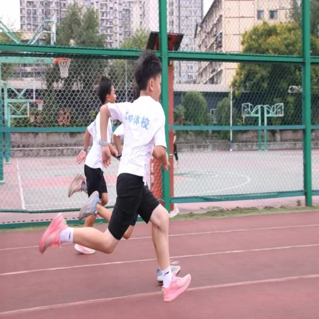 辽宁队季后赛赛程动态解读